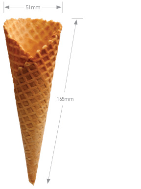 Natural Waffle Cone E